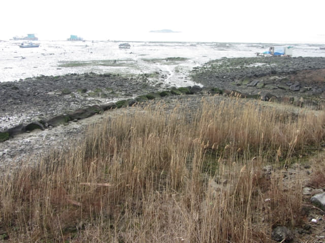 木浦市．草笠岩海灣