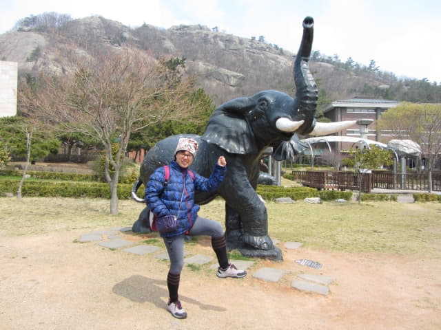 木浦自然史博物館