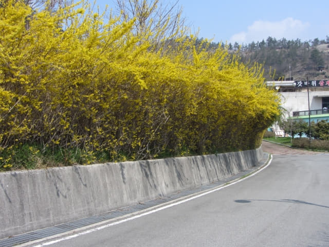 木浦市．草笠岩文化城