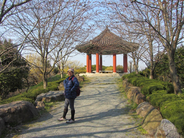 木浦市．儒達山 國際獅子花園 櫻花