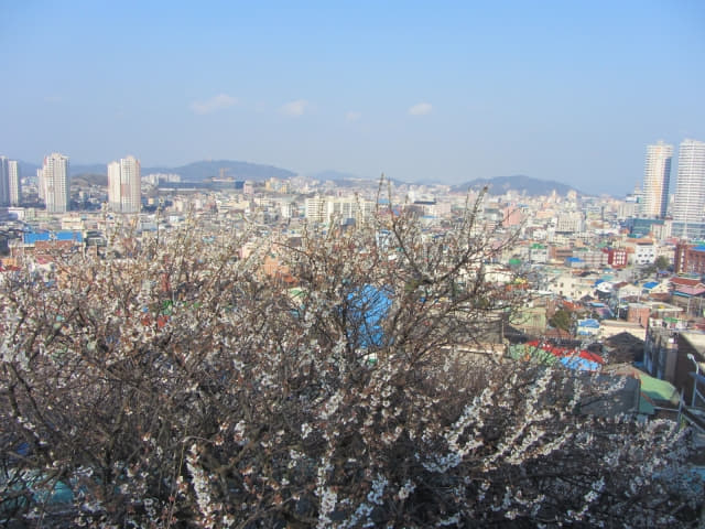 韓國木浦市