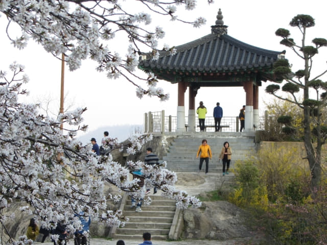 木浦市．儒達山 待鶴樓 (대학루)