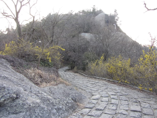 木浦市．儒達山 登山路