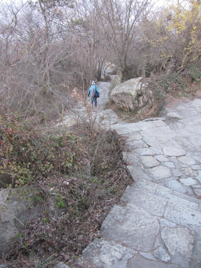 木浦市．儒達山 登山路