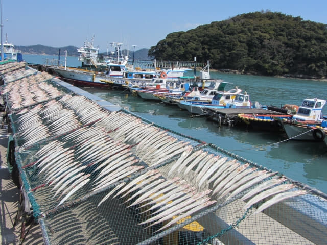 全羅南道．莞島 漁港景色