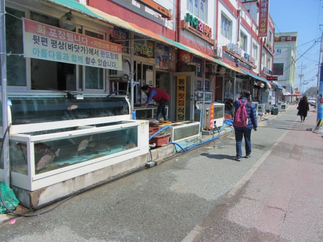 全羅南道．莞島 海鮮餐廳