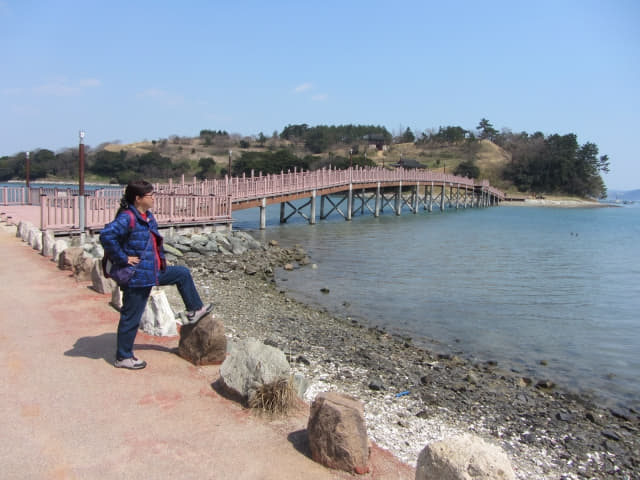 全羅南道．莞島 清海鎮遺址 將軍木橋