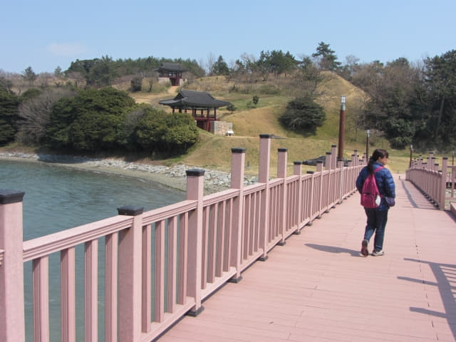 全羅南道．莞島 清海鎮遺址 將軍木橋