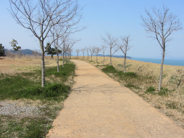 全羅南道．莞島 清海鎮遺址