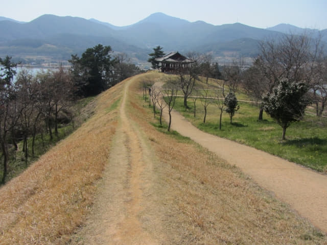 全羅南道．莞島 清海鎮遺址 南面版築(土牆)