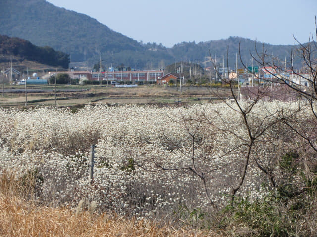 全羅南道．莞島