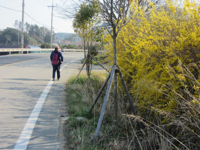 全羅南道．莞島