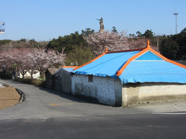 全羅南道．莞島 竹青里村莊櫻花、張保皋銅像