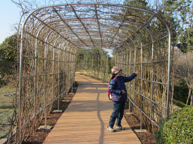 全羅南道．莞島塔 Kkogbi Garden