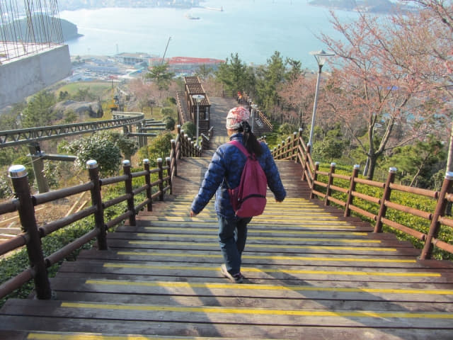 全羅南道．莞島塔往莞島港行人步道