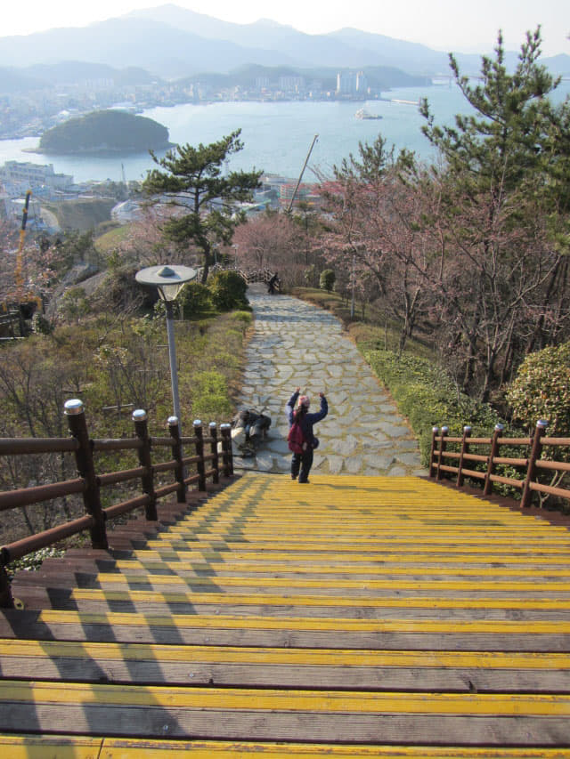 全羅南道．莞島塔往莞島港行人步道 櫻花