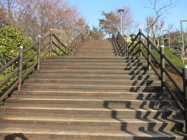 全羅南道．莞島塔往莞島港行人步道