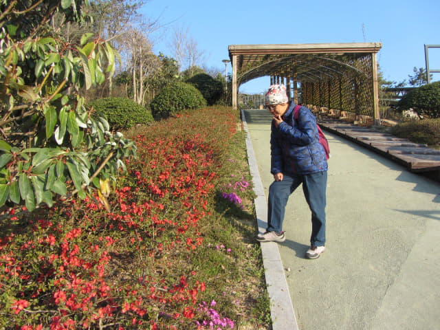 全羅南道．莞島塔往莞島港行人步道