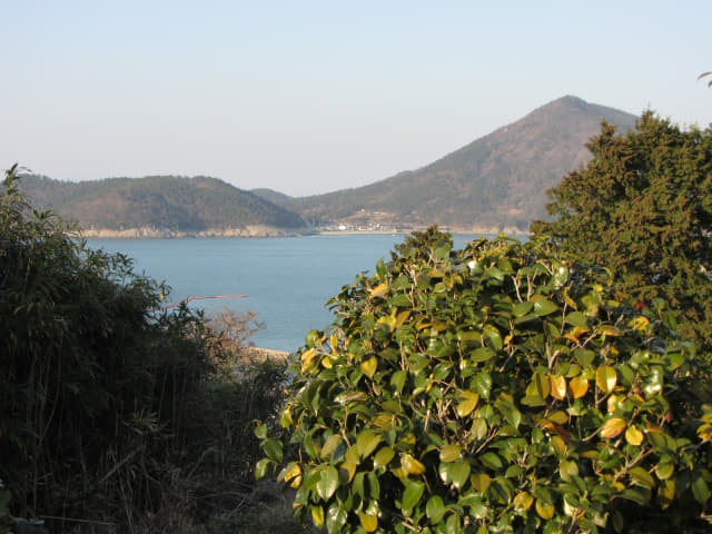 全羅南道．莞島塔往莞島港行人步道