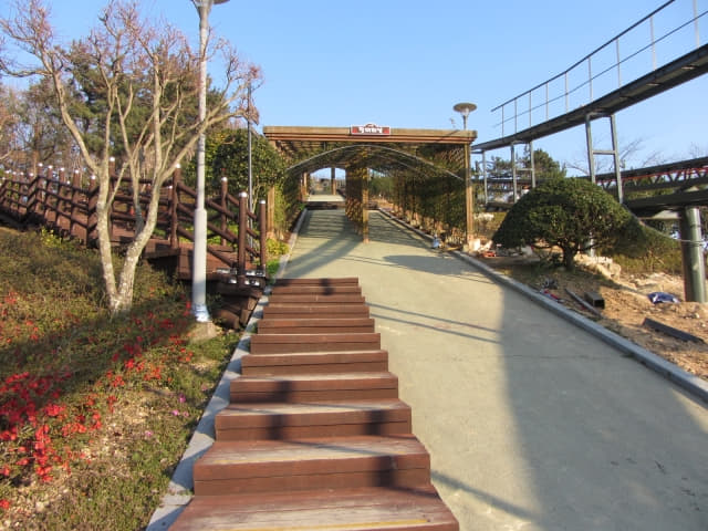 全羅南道．莞島塔往莞島港行人步道 花棚隧道