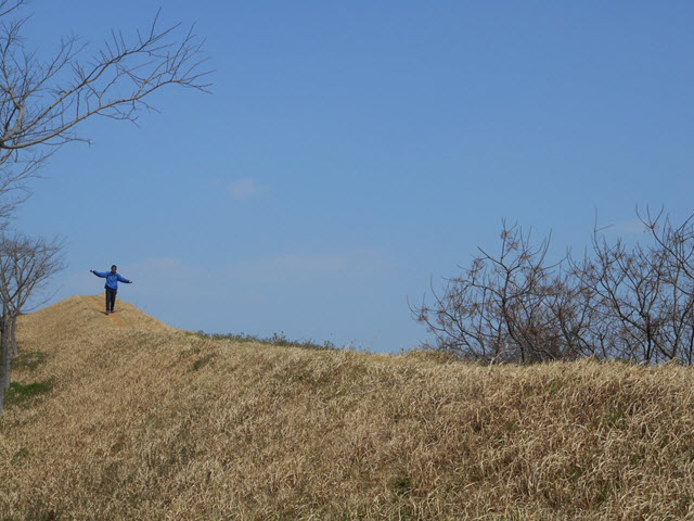 全羅南道．莞島 清海鎮遺址 南面版築(土牆)